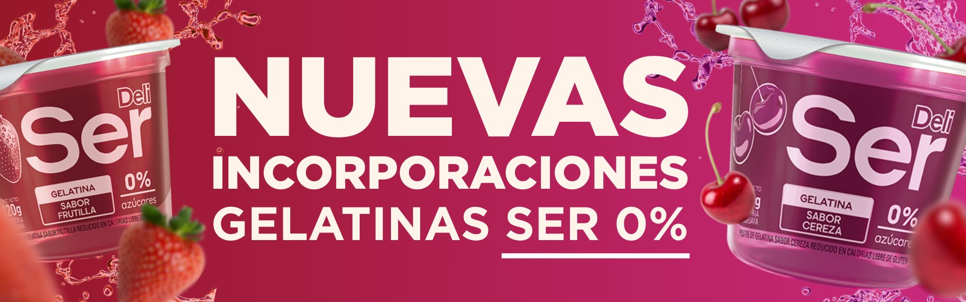 BANNER 1920 X 600 (1)